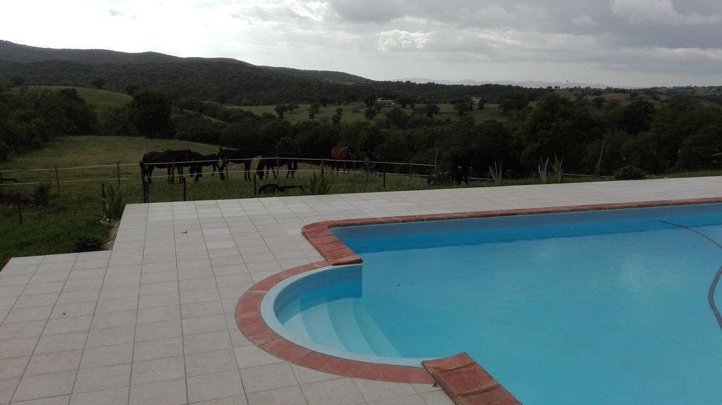 Collelungo Di Maremma *