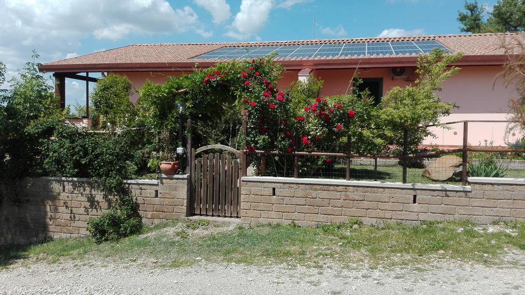 Collelungo Di Maremma
