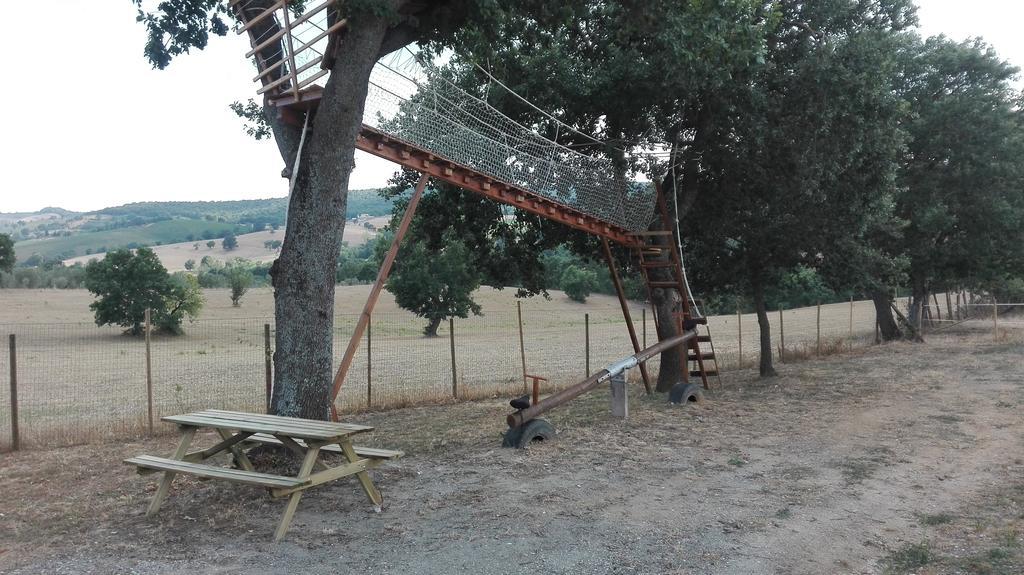 Collelungo Di Maremma Diaccialone