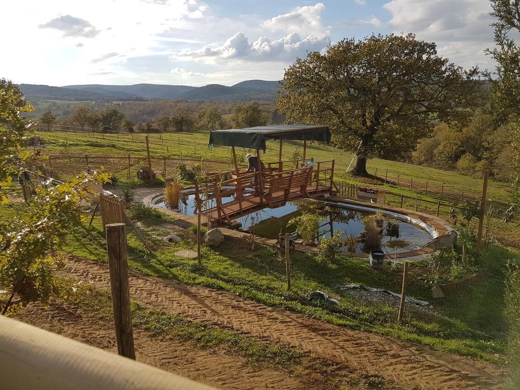 Collelungo Di Maremma *