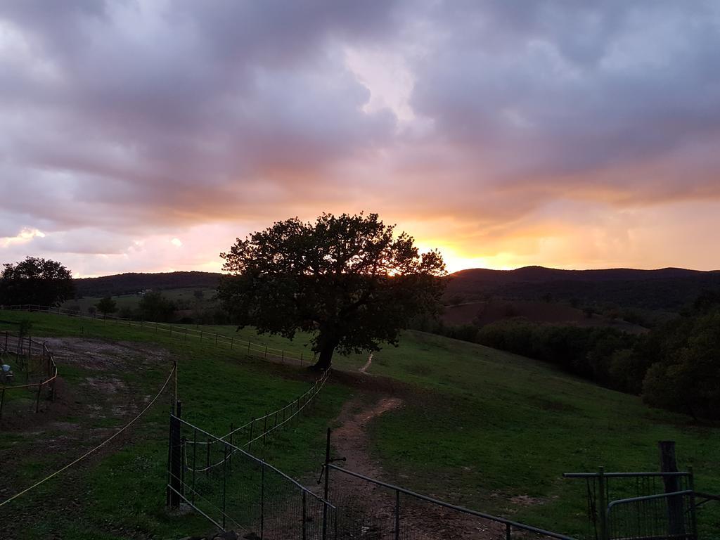 Apartment Collelungo Di Maremma