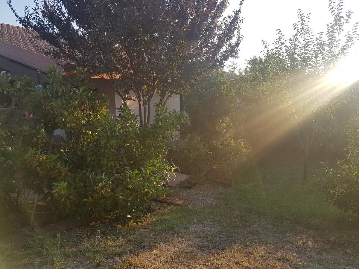 Collelungo Di Maremma * Diaccialone