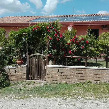 Agriturismo Collelungo Di Maremma Diaccialone Exterior photo